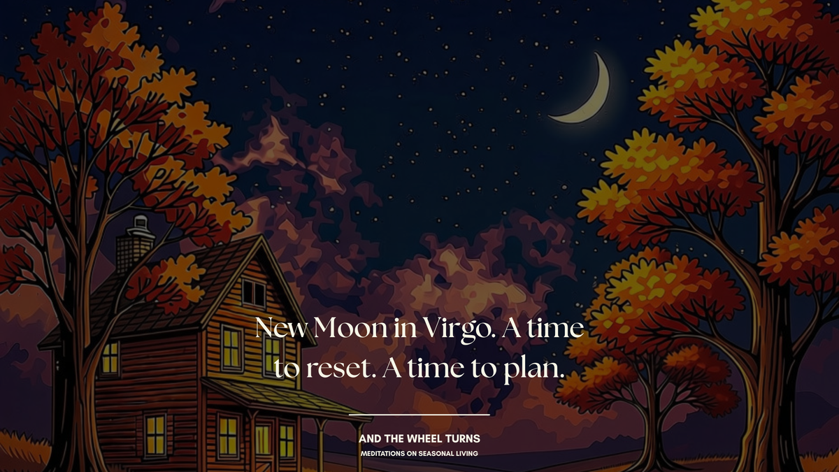 NEW MOON IN VIRGO | A time to reset. A time to plan.