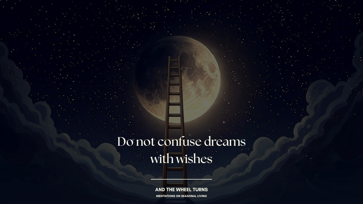 "Do not confuse dreams with wishes" -  Dolly Parton