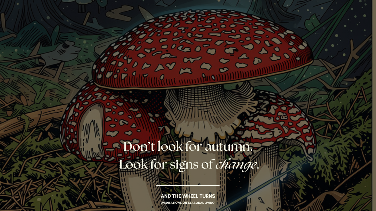 This week, don't look for autumn, look for signs of change