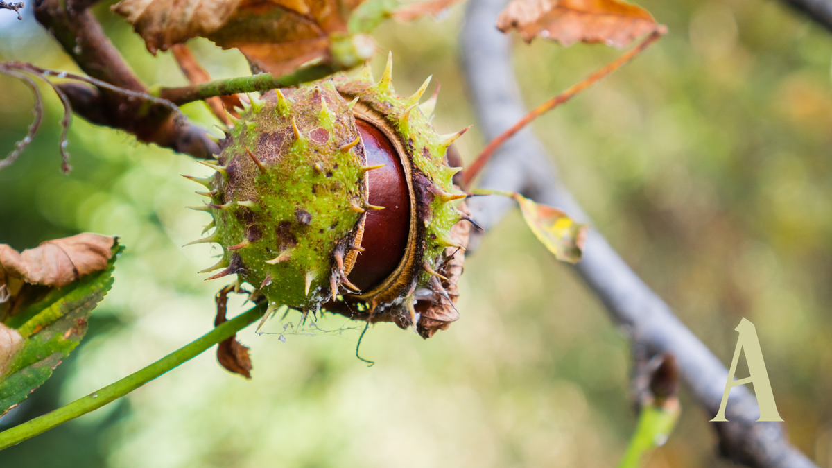 DON'T RUSH INTO AUTUMN